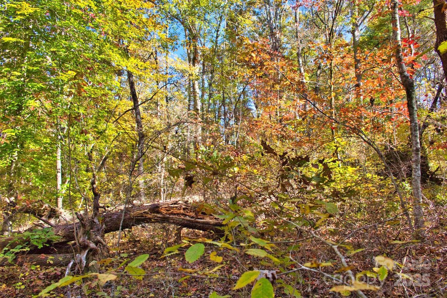 0 Bitteroot Circle, Unit 294 Rutherfordton, NC 28139 - Photo 2 of 5