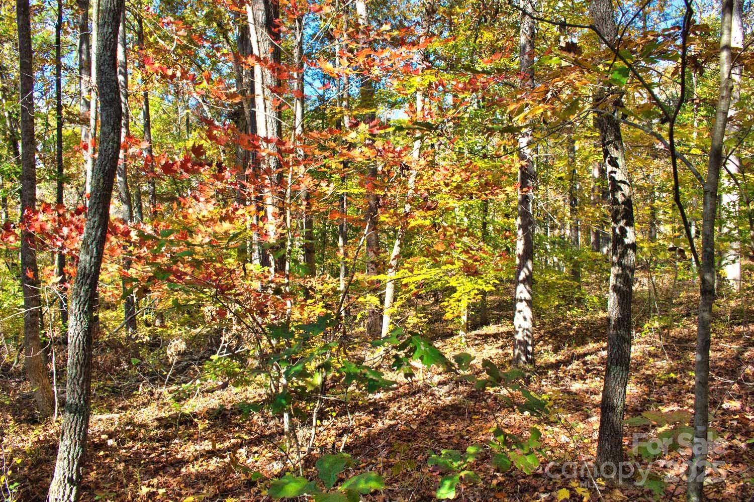 0 Bitteroot Circle, Unit 294 Rutherfordton, NC 28139 - Photo 3 of 5 a view of a tree