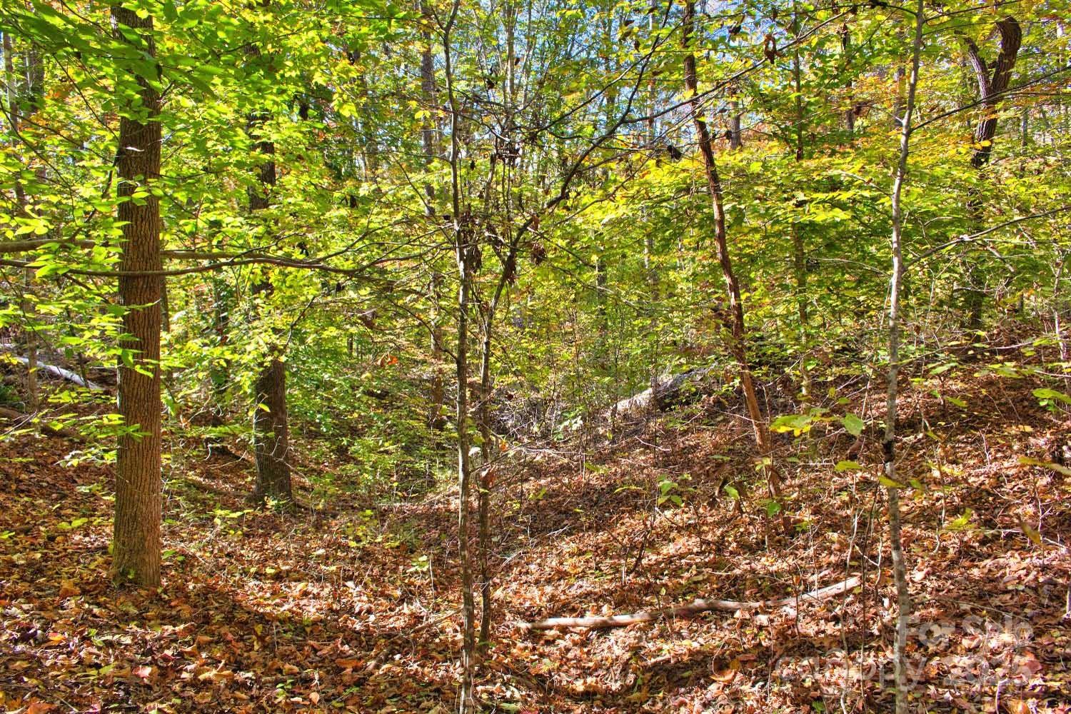 0 Bitteroot Circle, Unit 294 Rutherfordton, NC 28139 - Photo 4 of 5 a view of a tree