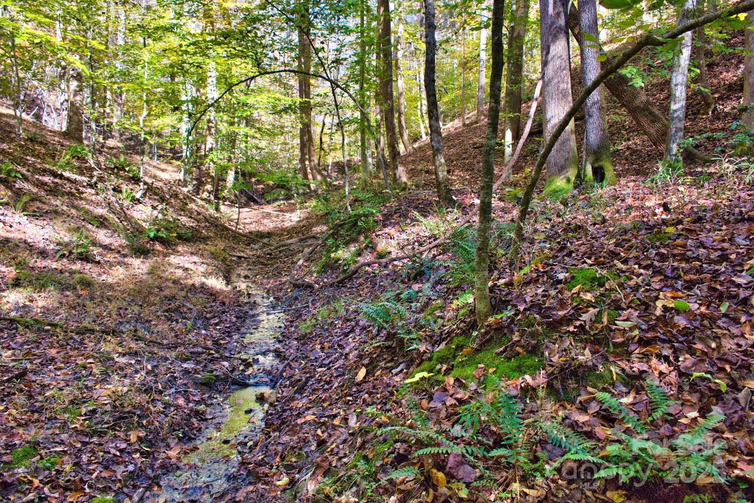 0 Bitteroot Circle, Unit 294 Rutherfordton, NC 28139 - Photo 5 of 5 a backyard of a house with lots of green space