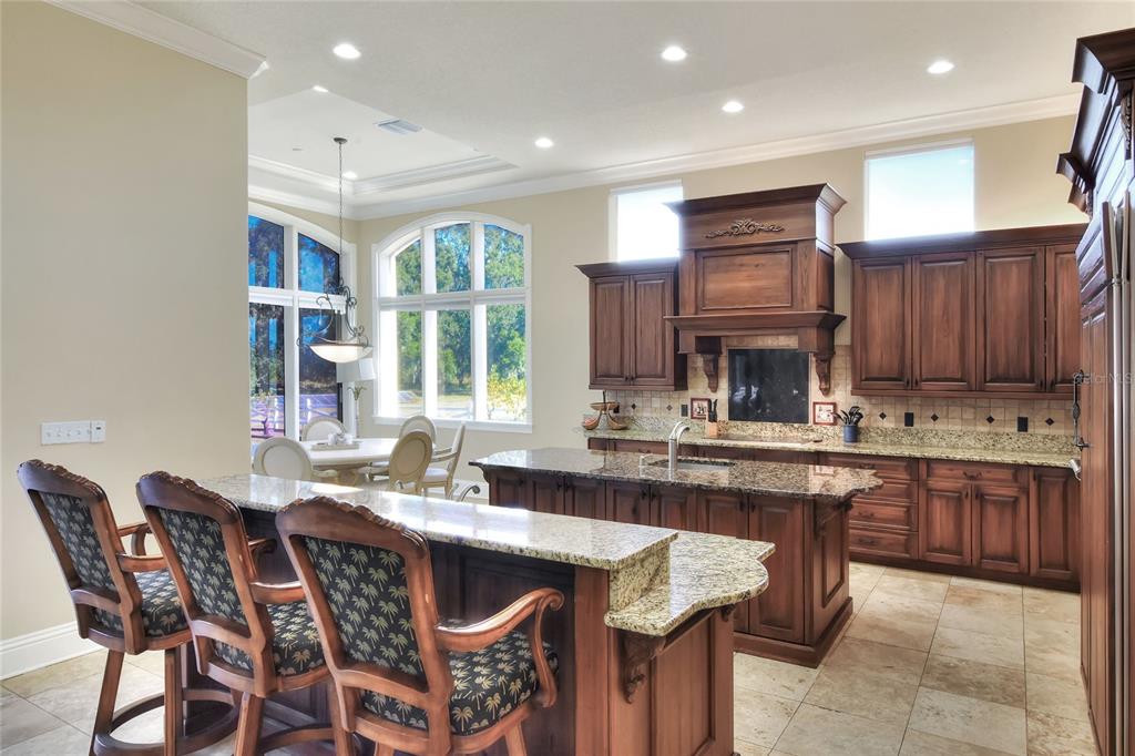 4215 Sb Merrion Road Lakeland, FL 33810 - Photo 14 of 95 a kitchen with granite countertop a sink and a refrigerator