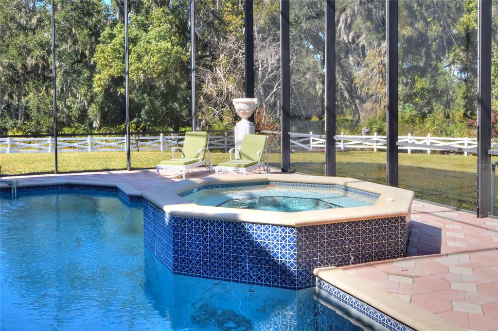 4215 Sb Merrion Road Lakeland, FL 33810 - Photo 25 of 95 swimming pool view with a outdoor seating