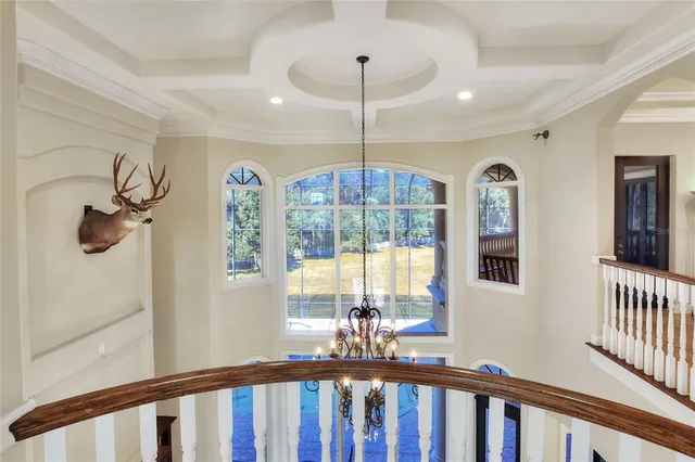 a view of a backyard with plants