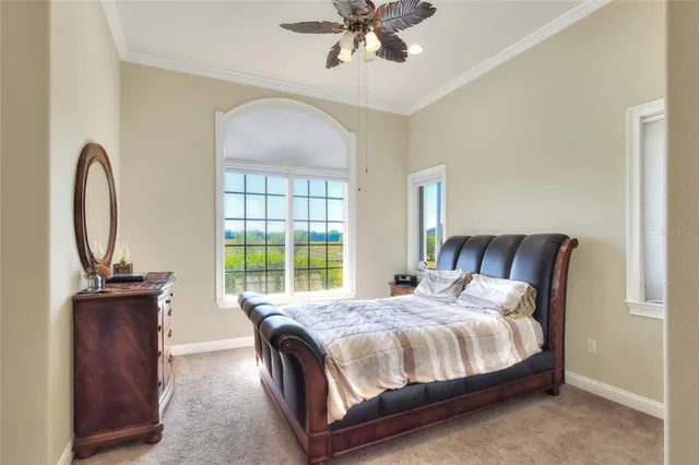 $3,000,000 | 4215 Sb Merrion Road, Lakeland, FL 33810