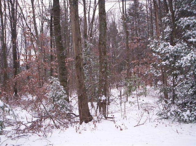 11 East Aspen Road Kunkletown, PA 18058 - Photo 16 of 16 land, comes with home