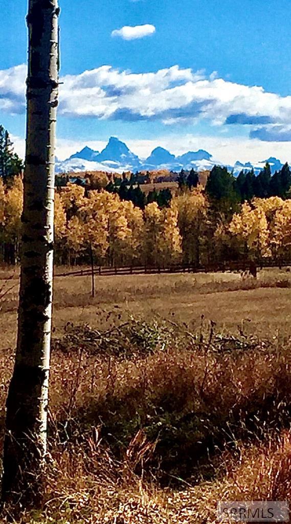 1554 Shadow Run Ashton, ID 83420 - Photo 56 of 58