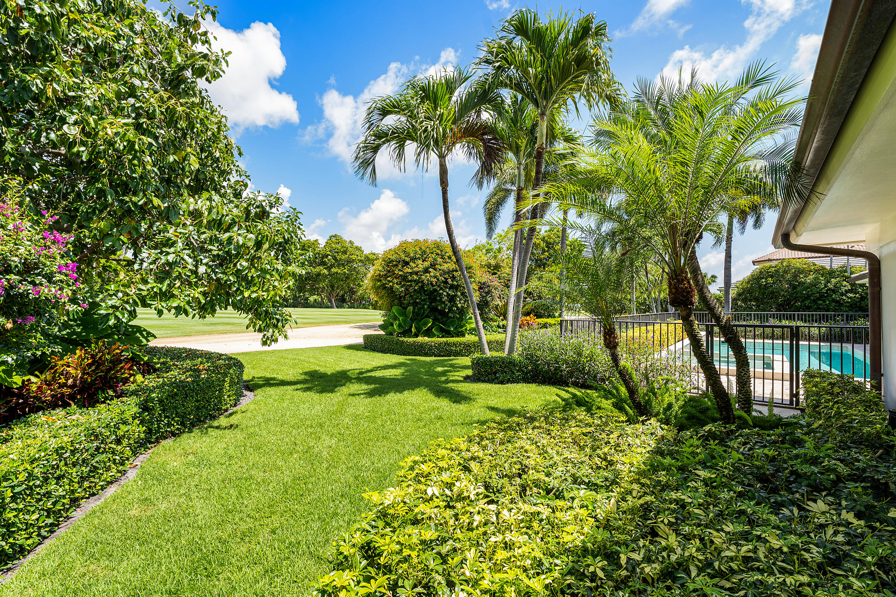 1851 Thatch Palm Drive Boca Raton, FL 33432 - Photo 58 of 70 a view of a garden with a tree
