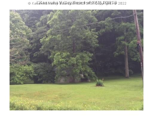 683 Sandlick Road Seth, WV 25181 - Photo 5 of 5 Land.