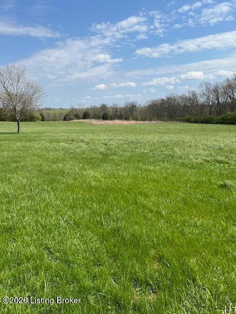 950 Hill Spring Road Pleasureville, KY 40057 - Photo 10 of 37 IMG_7723 (1)
