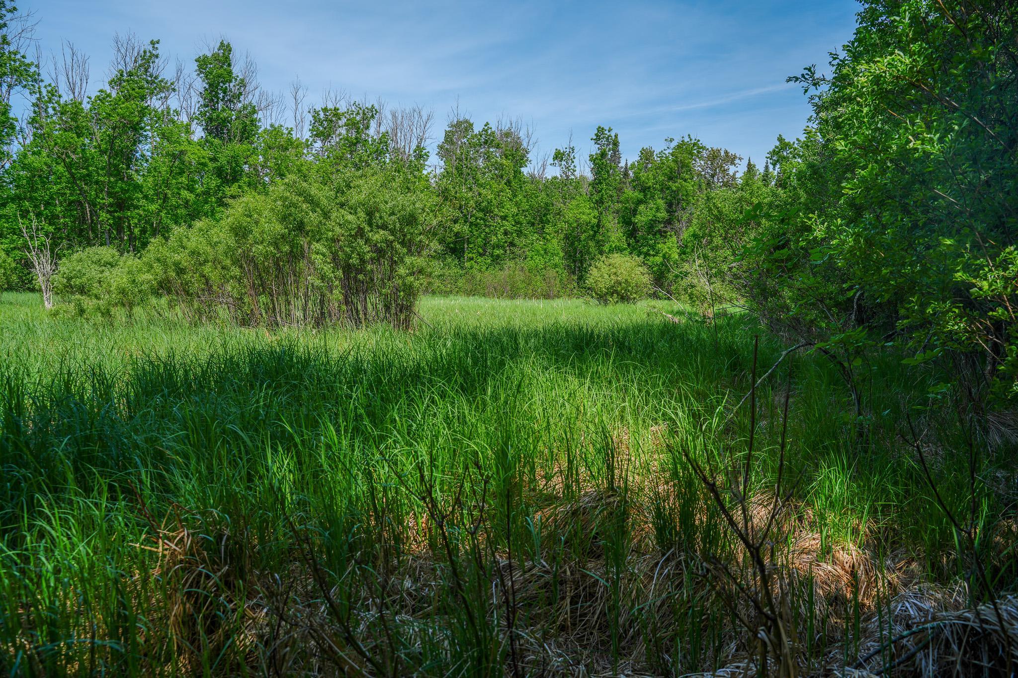 47 Co Highway 47 Osage, MN 56570 - Photo 47 of 59