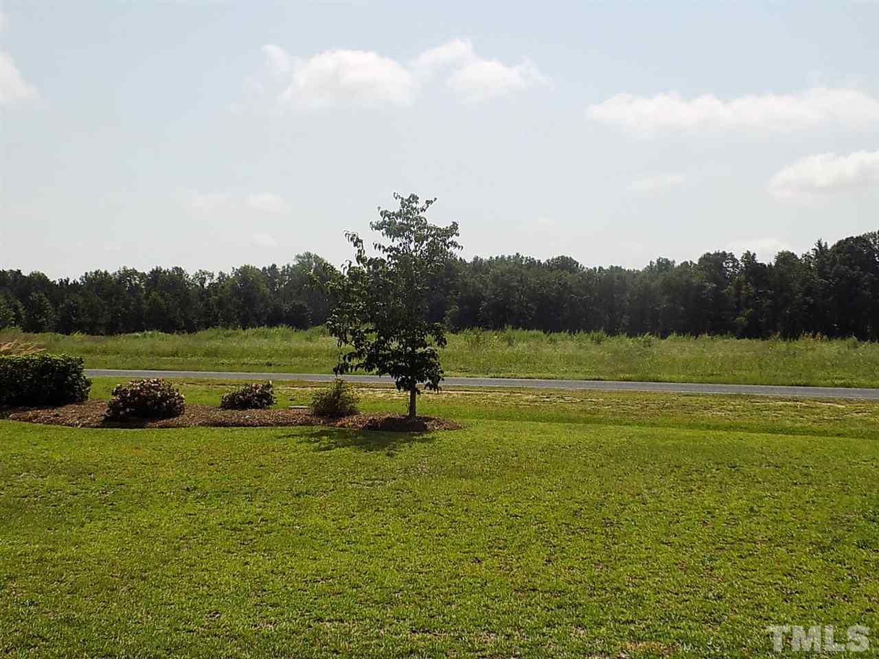1115 Silas Moore Road Benson, NC 27504 - Photo 28 of 28