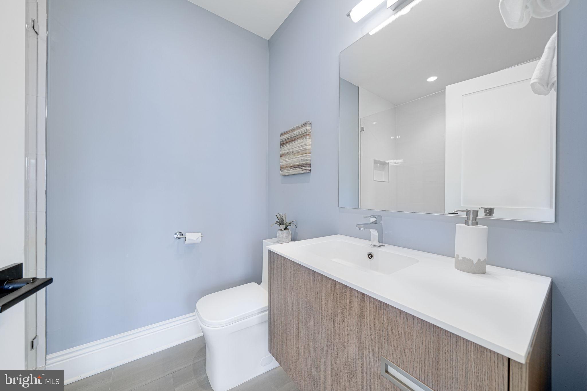 1728 D Street Southeast, Unit 2 Washington, DC 20003 - Photo 15 of 54 a bathroom with a sink a toilet and a mirror