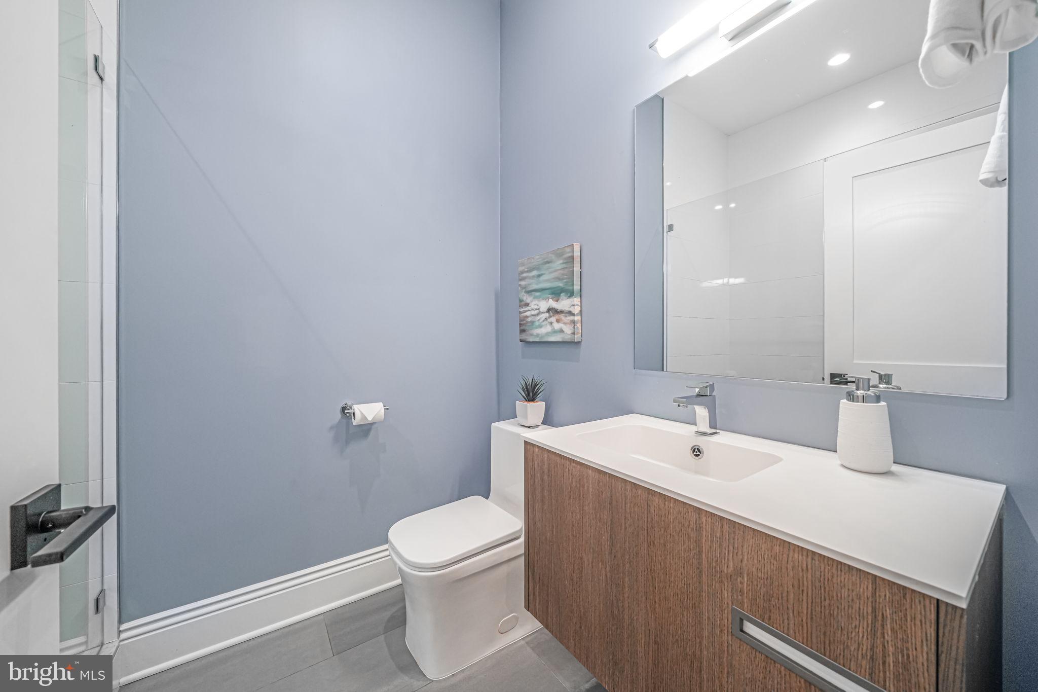 1728 D Street Southeast, Unit 2 Washington, DC 20003 - Photo 20 of 54 a bathroom with a sink and a toilet