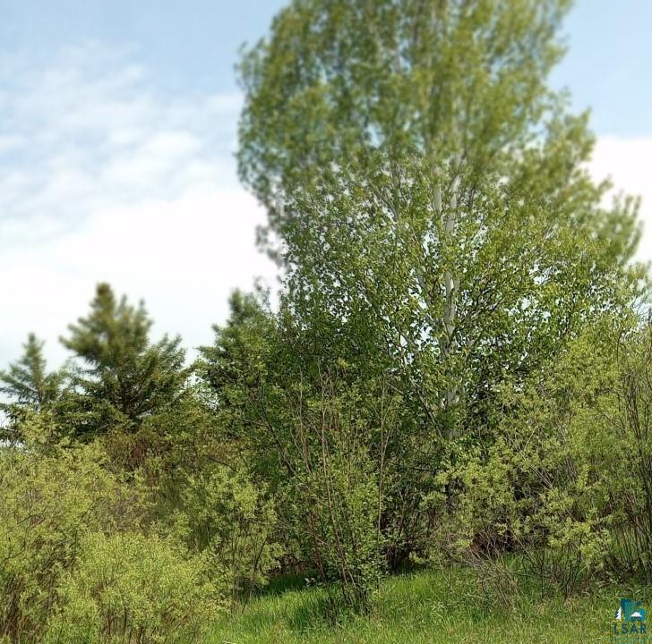 Xxx South Millview Road South Range, WI 54874 - Photo 8 of 9 Gallery Image 8