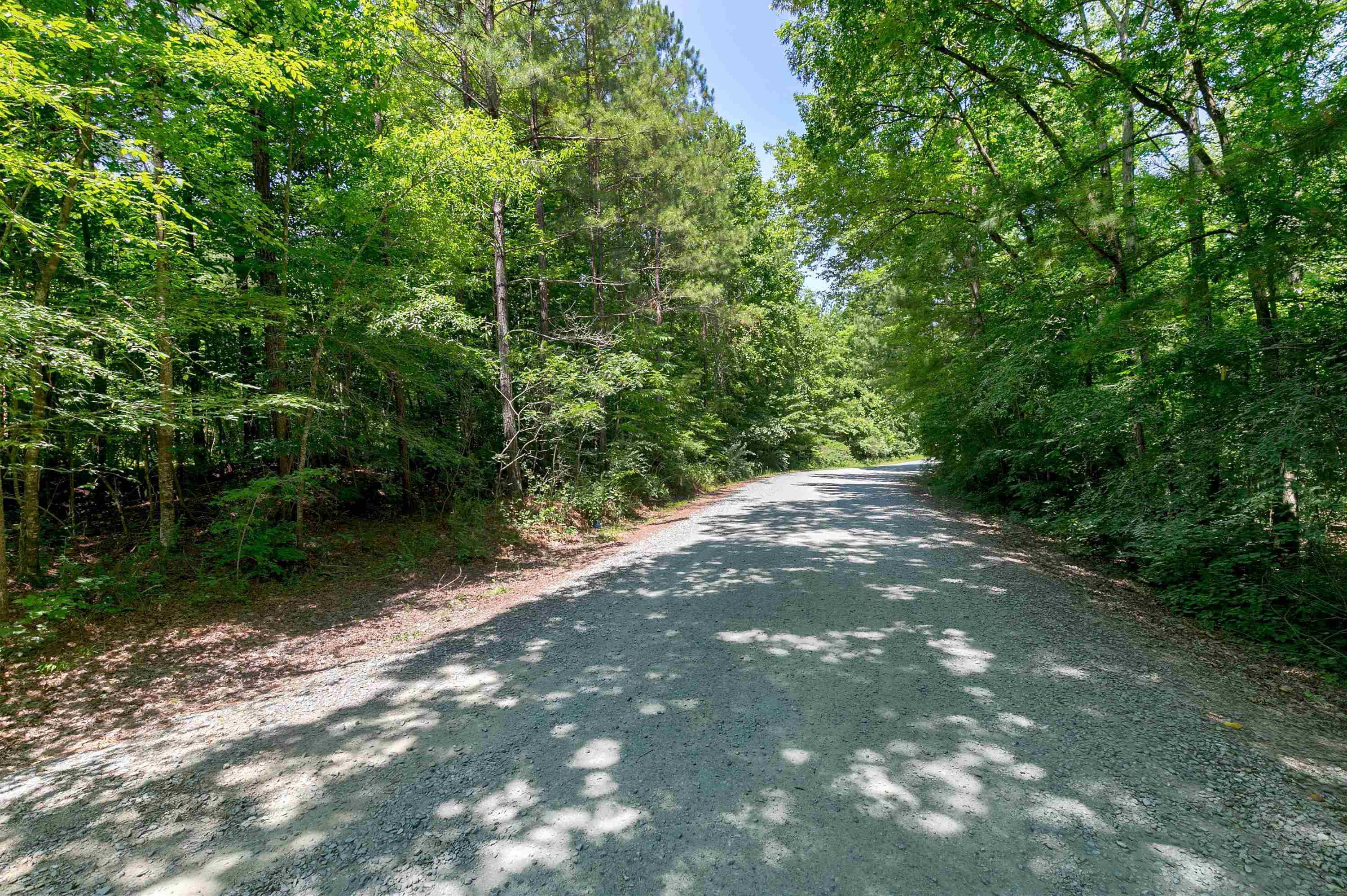 272 Mill Stone Road Moncure, NC 27559 - Photo 9 of 21 Photo 9