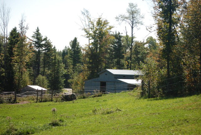 703-731 Hogback Road Crown Point, NY 12928 - Photo 1 of 1 Gallery Image 1