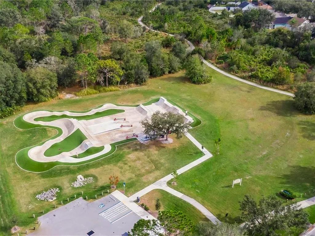 16910 Dorman Road Lithia, FL 33547 - Photo 43 of 46