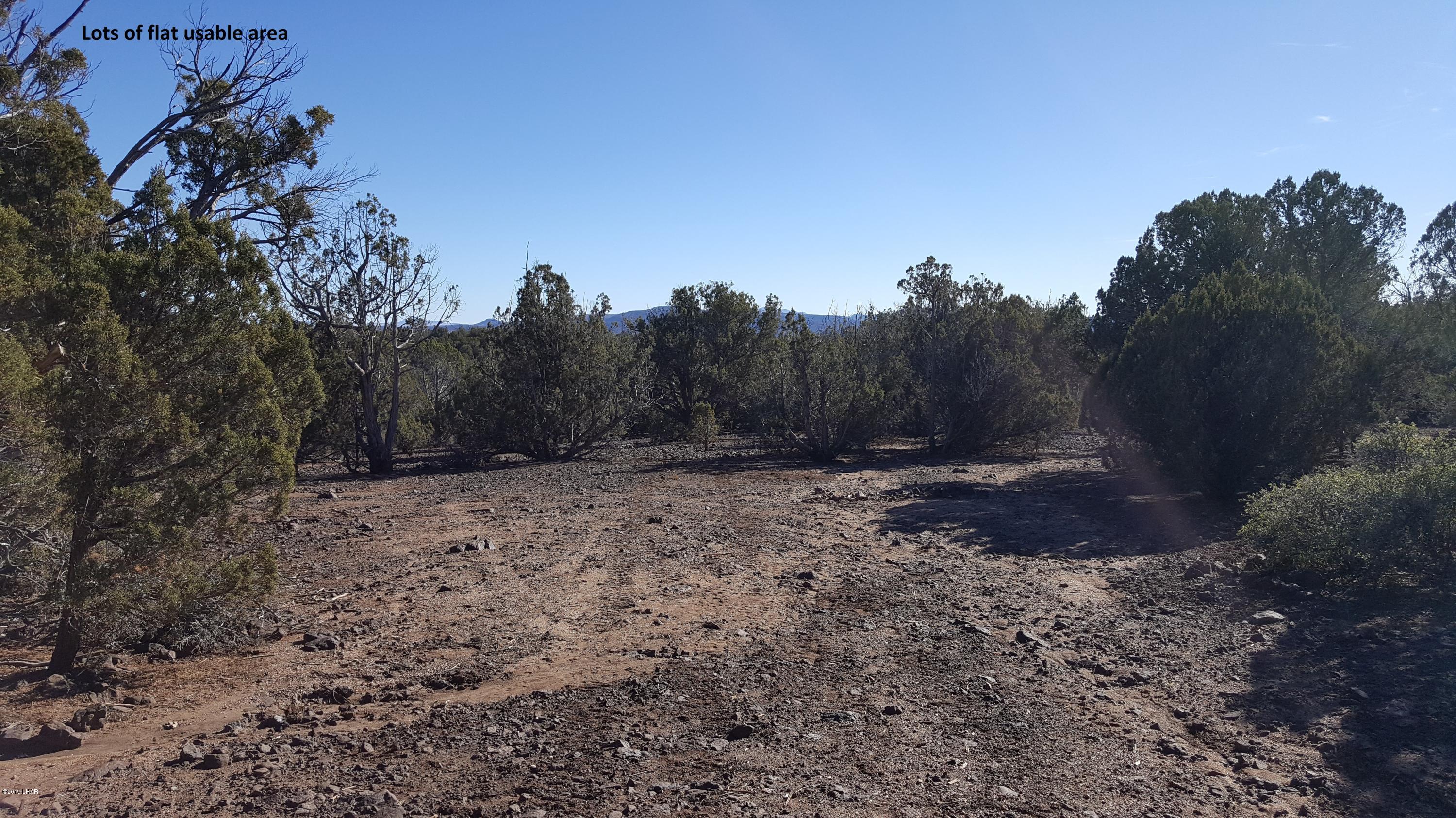 7 Unit Ranch Kingman, AZ 86401 - Photo 3 of 9 7-183-pic5edited