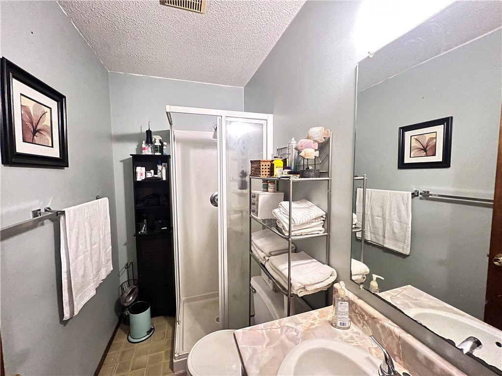 303 Meadow Drive Seneca, SC 29678 - Photo 17 of 27 Stand up shower in master bath