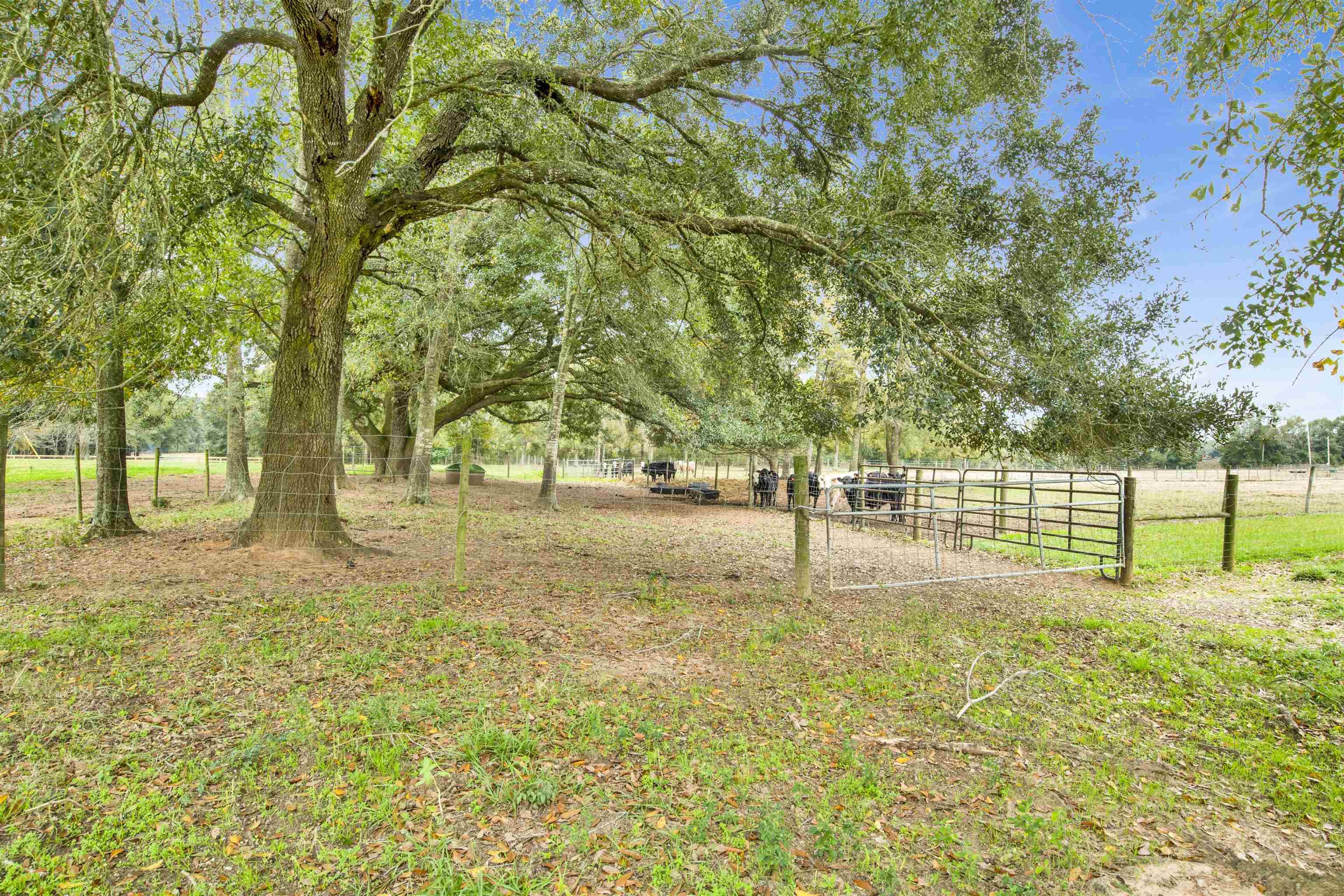 0 Newman Road Summerdale, AL 36580 - Photo 3 of 14