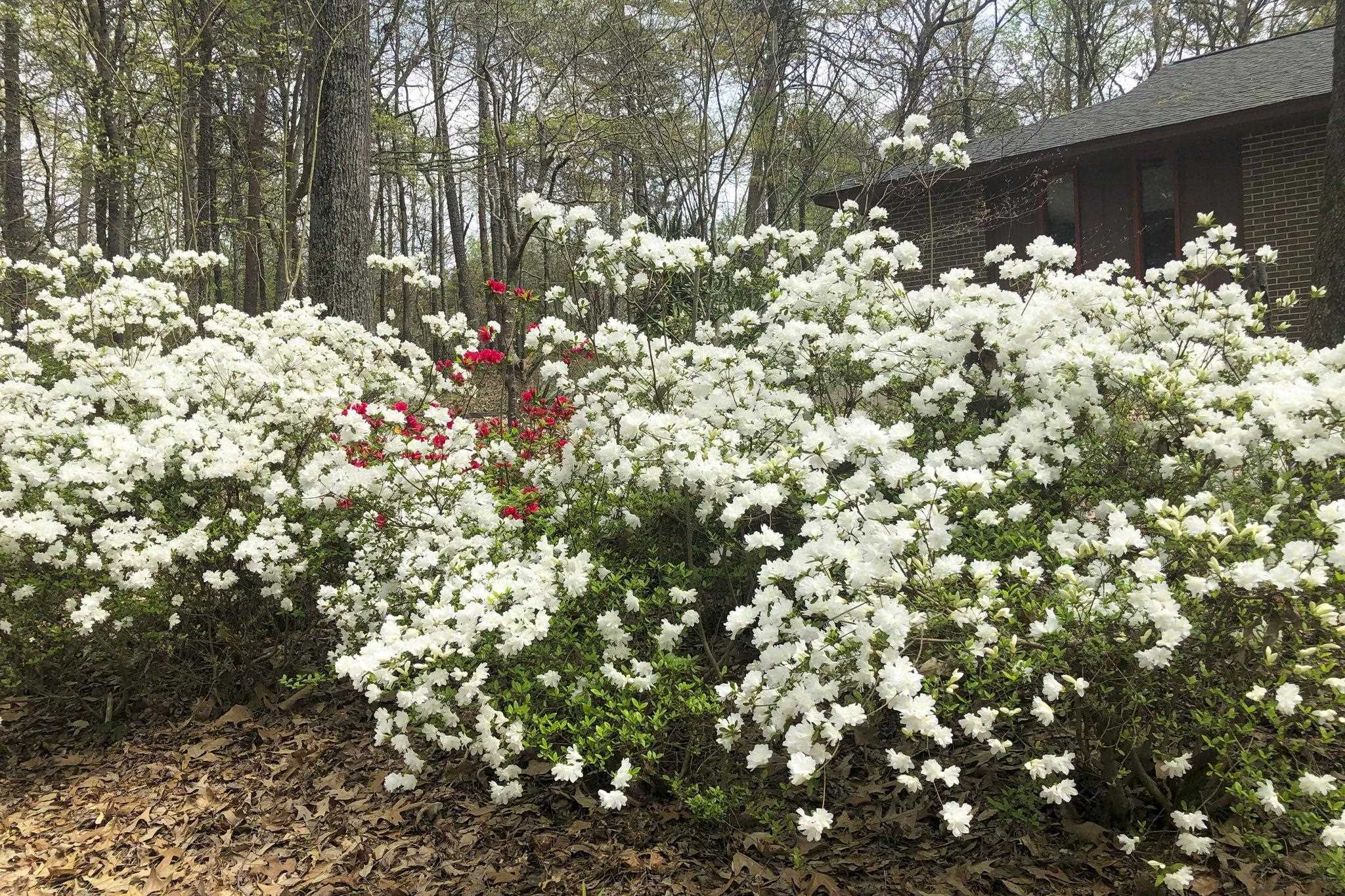 132 State Rd S-42-8449 Spartanburg, SC 29303 - Photo 47 of 50