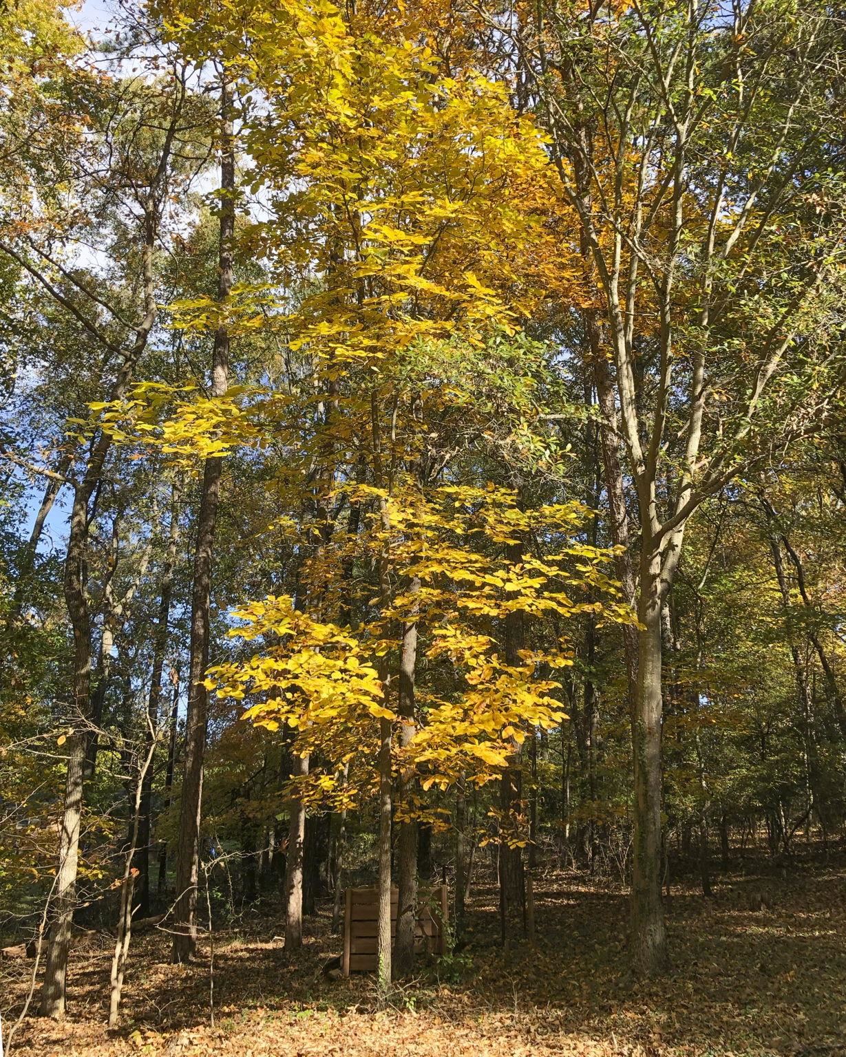 132 State Rd S-42-8449 Spartanburg, SC 29303 - Photo 49 of 50