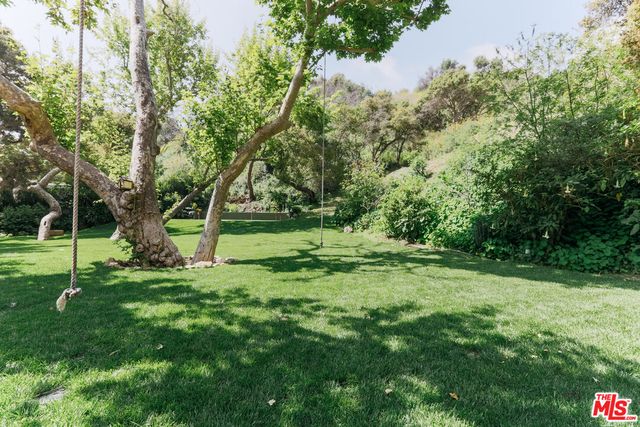 a view of a tree in a yard