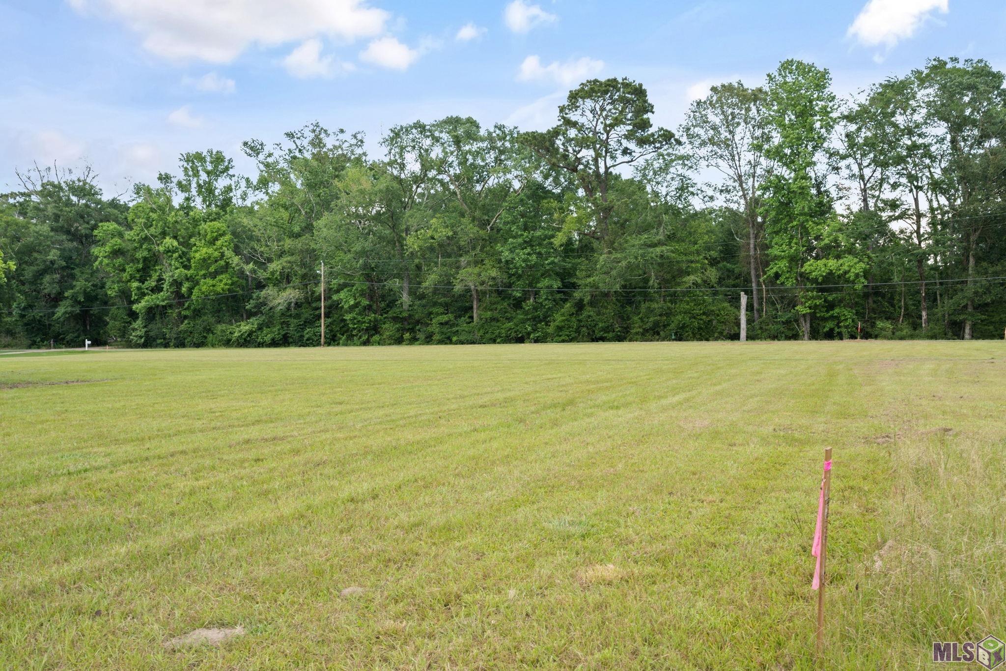 10440 Bank Street Clinton, LA 70722 - Photo 7 of 27