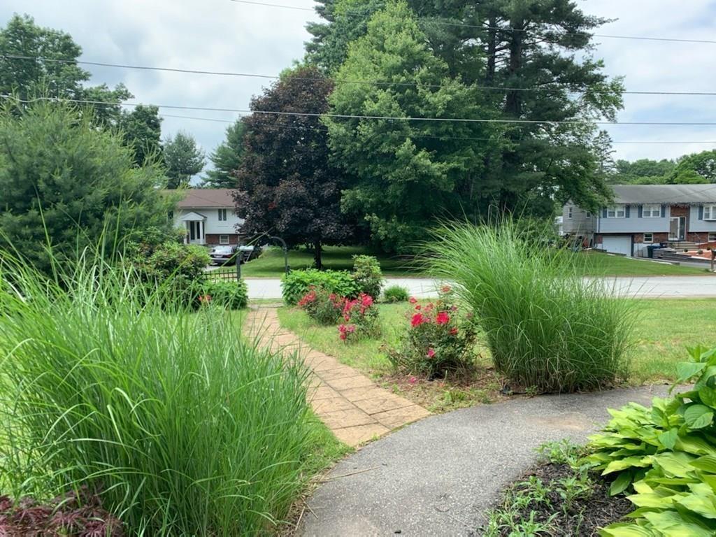 1 Edgar Road Billerica, MA 01821 - Photo 4 of 32 a view of a garden with plants