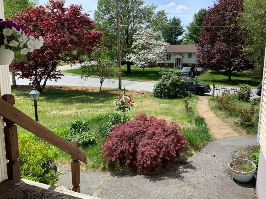 1 Edgar Road Billerica, MA 01821 - Photo 5 of 32 a view of a garden with large trees