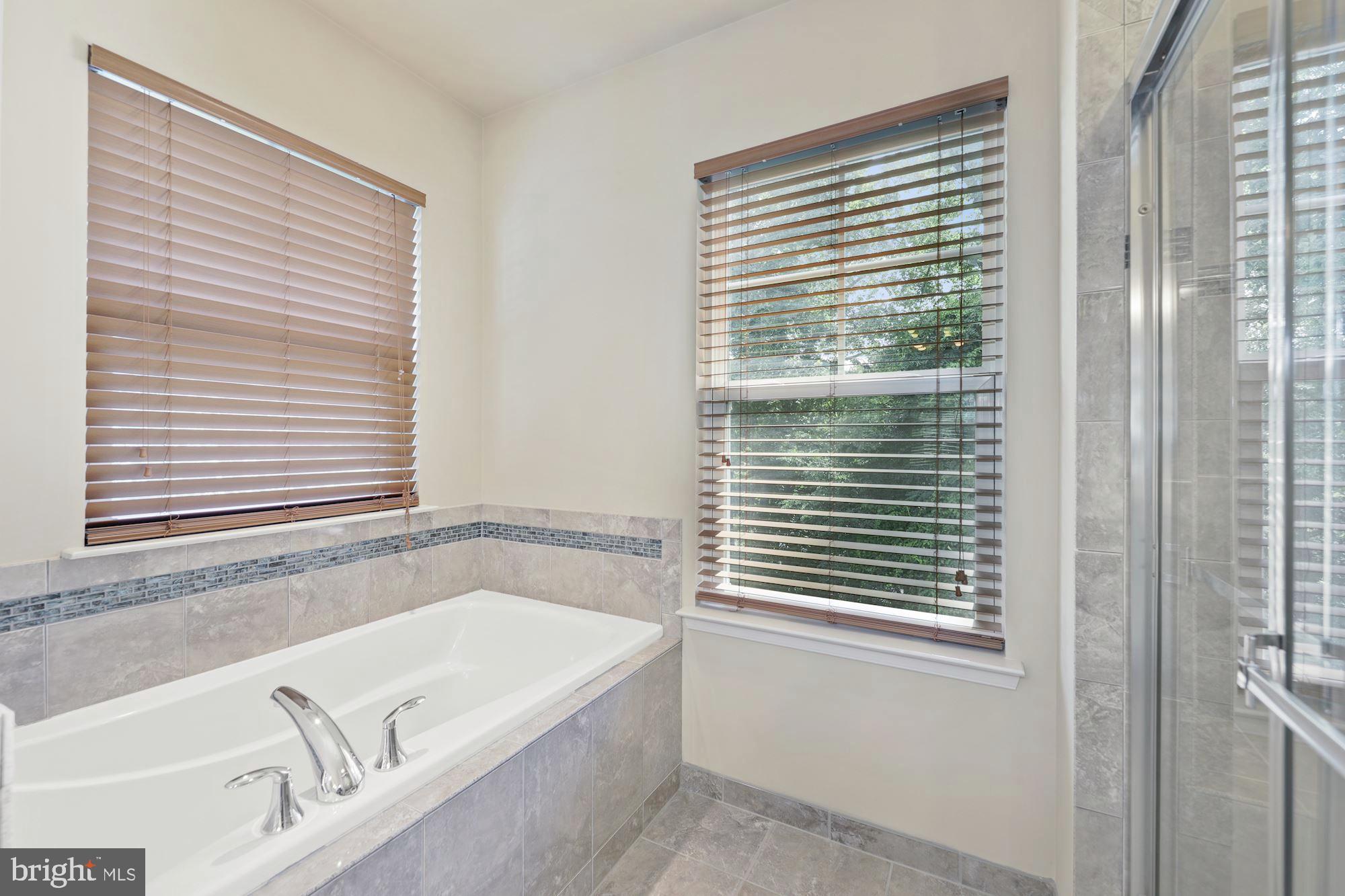 14407 Vedanta Way Silver Spring, MD 20906 - Photo 18 of 31 Master bath soaking tub