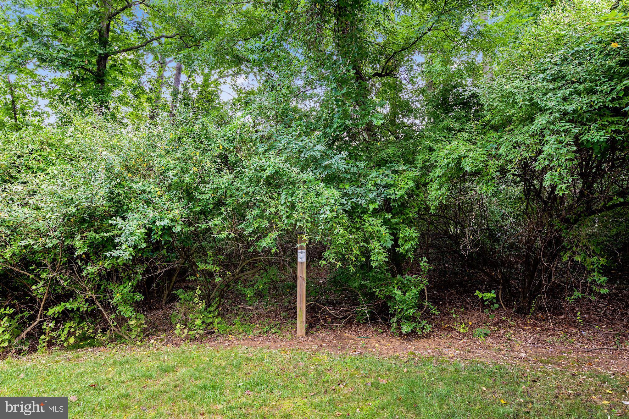 14407 Vedanta Way Silver Spring, MD 20906 - Photo 29 of 31 Backyard backs to trees
