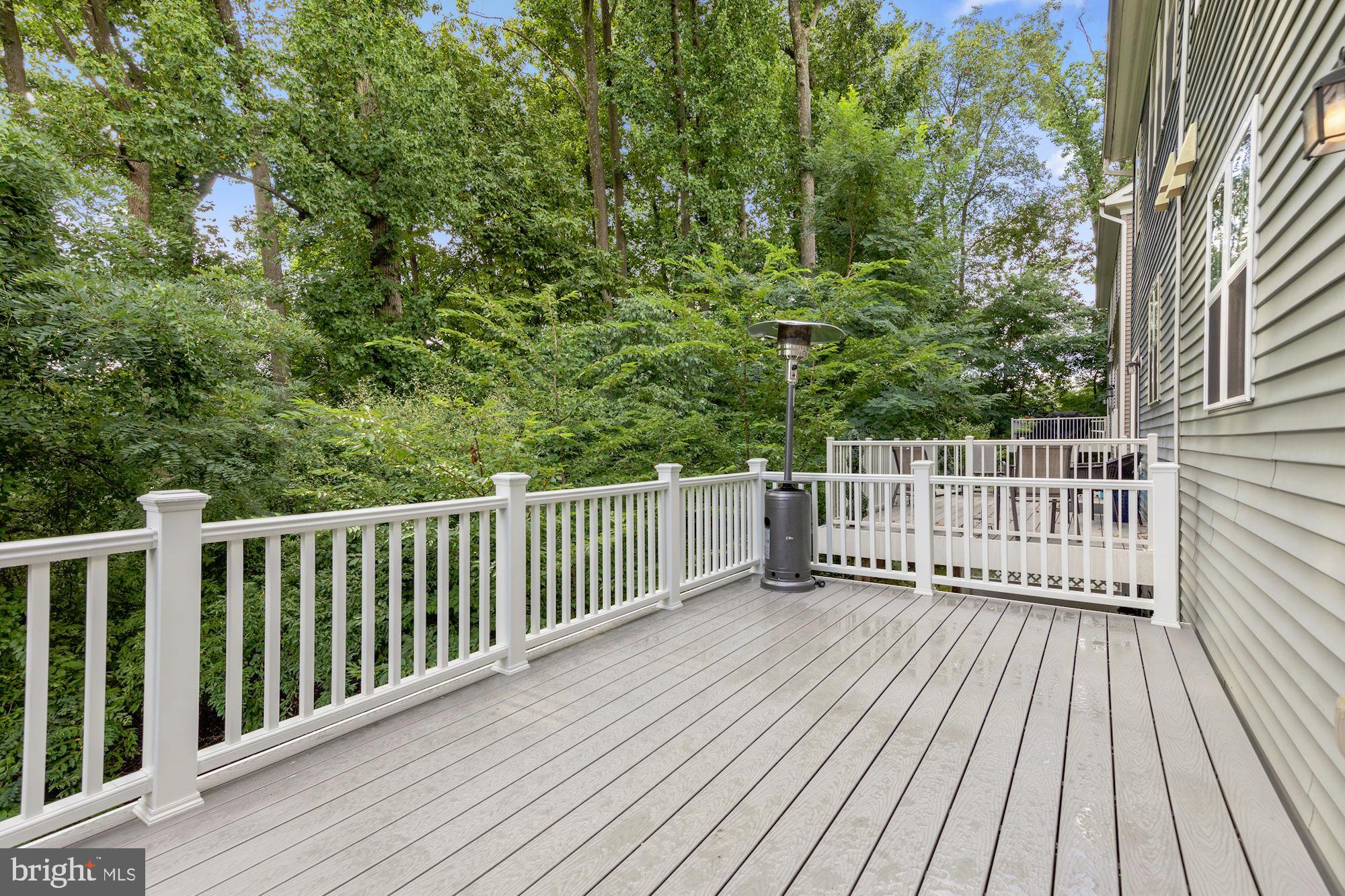 14407 Vedanta Way Silver Spring, MD 20906 - Photo 7 of 31 Trex deck