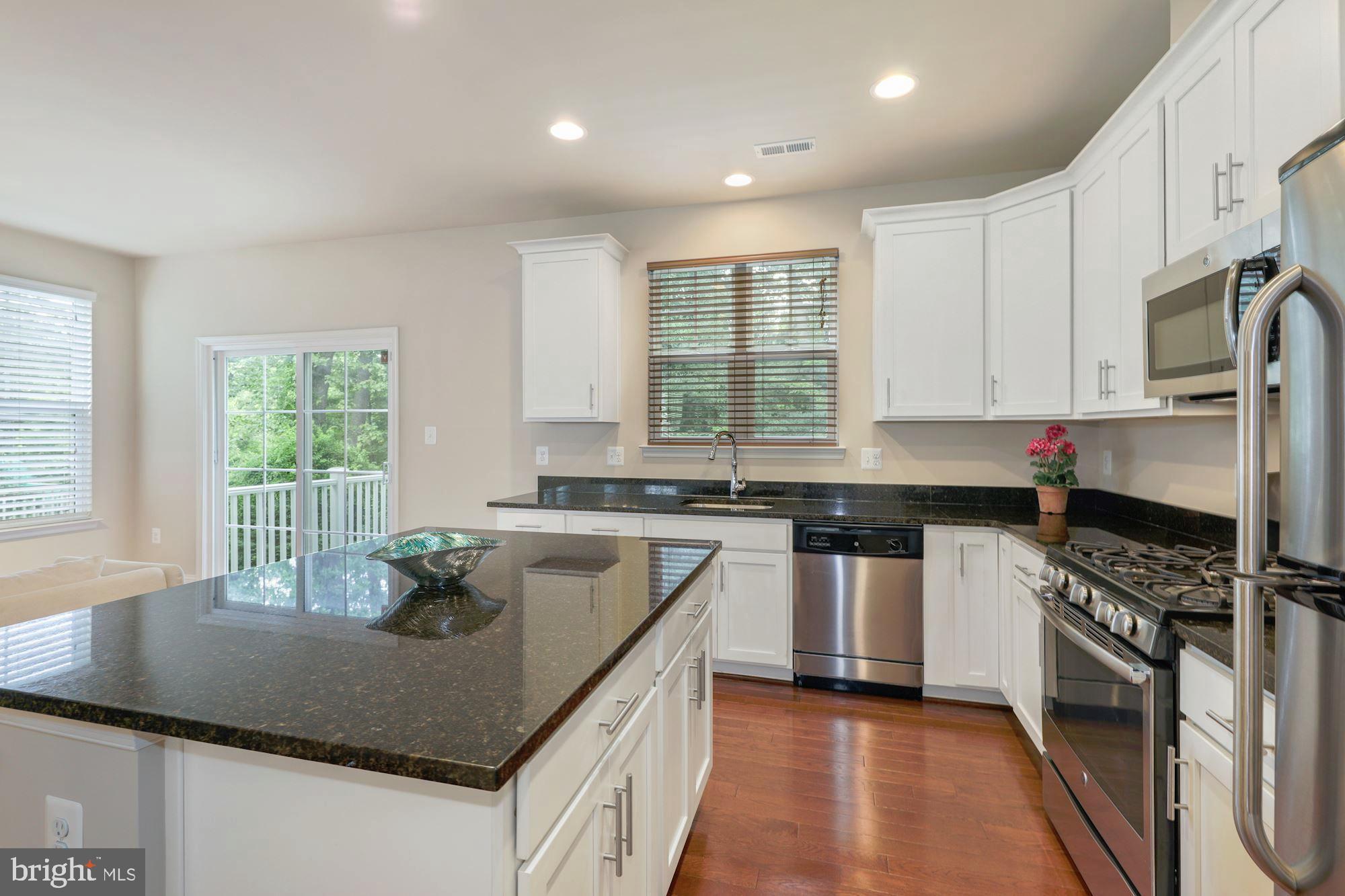 14407 Vedanta Way Silver Spring, MD 20906 - Photo 9 of 31 Granite countertop & stainless steel appliances