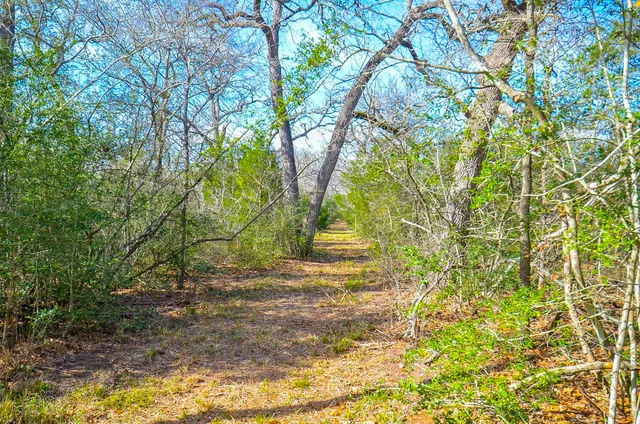 $680,000 | 4720 Fm 60, Somerville, TX 77879