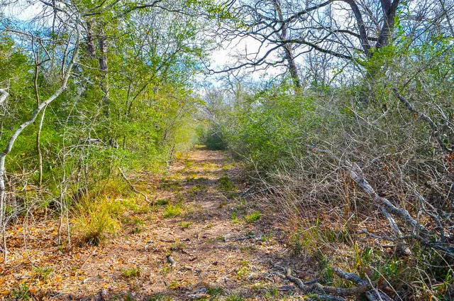 $680,000 | 4720 Fm 60, Somerville, TX 77879