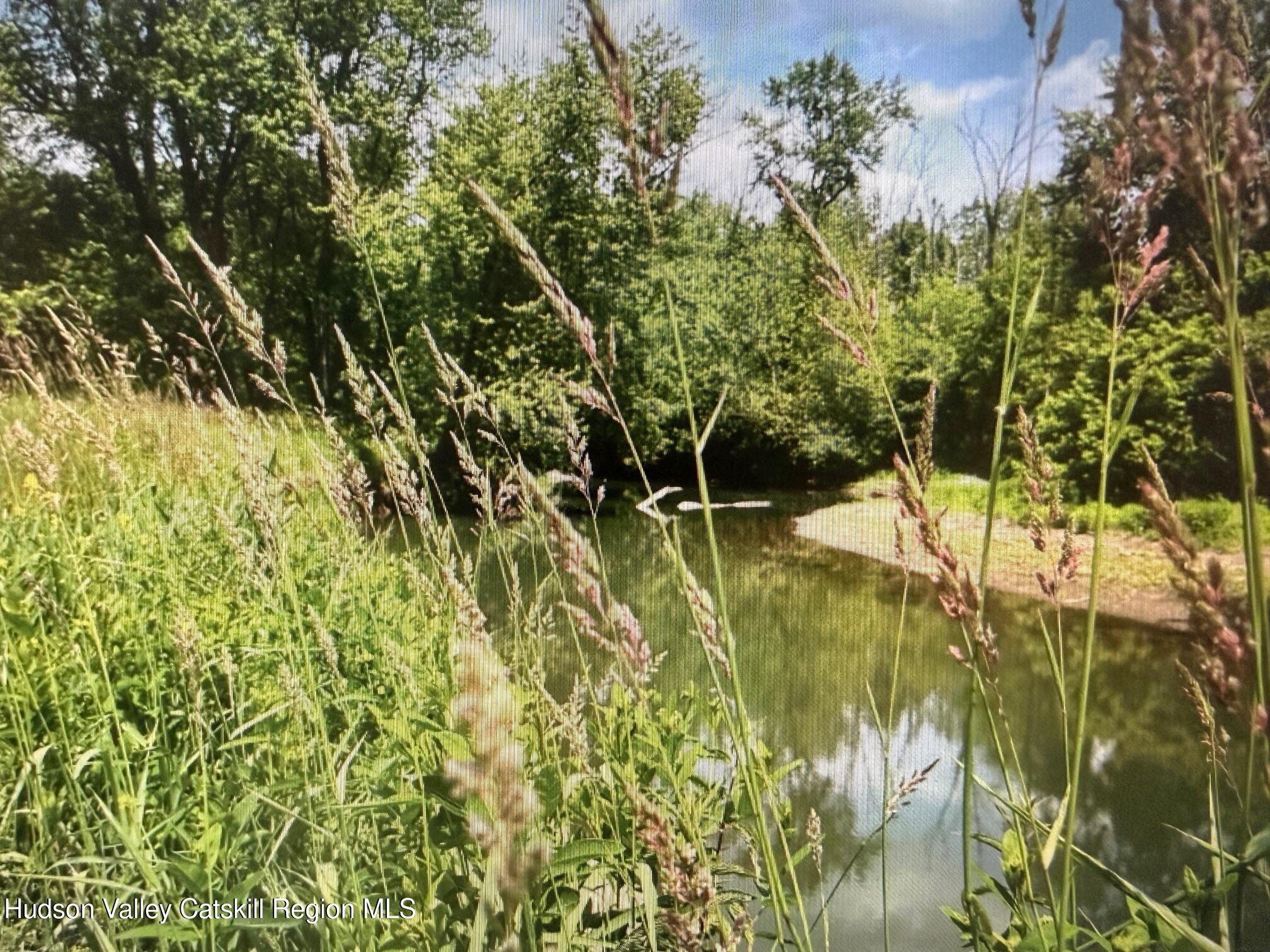 0 Spook Rock Road Hudson, NY 12534 - Photo 1 of 12 IMG_9166