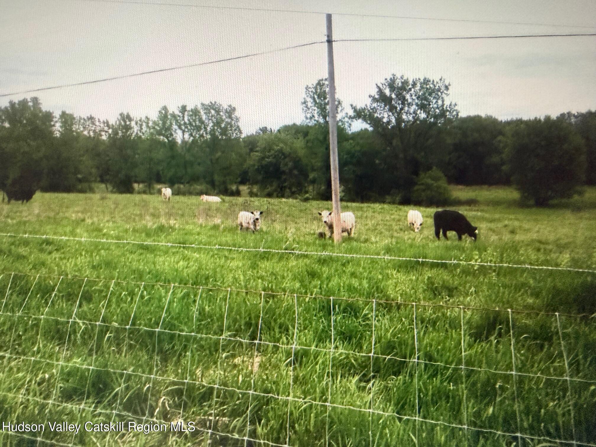 0 Spook Rock Road Hudson, NY 12534 - Photo 5 of 12 IMG_9164