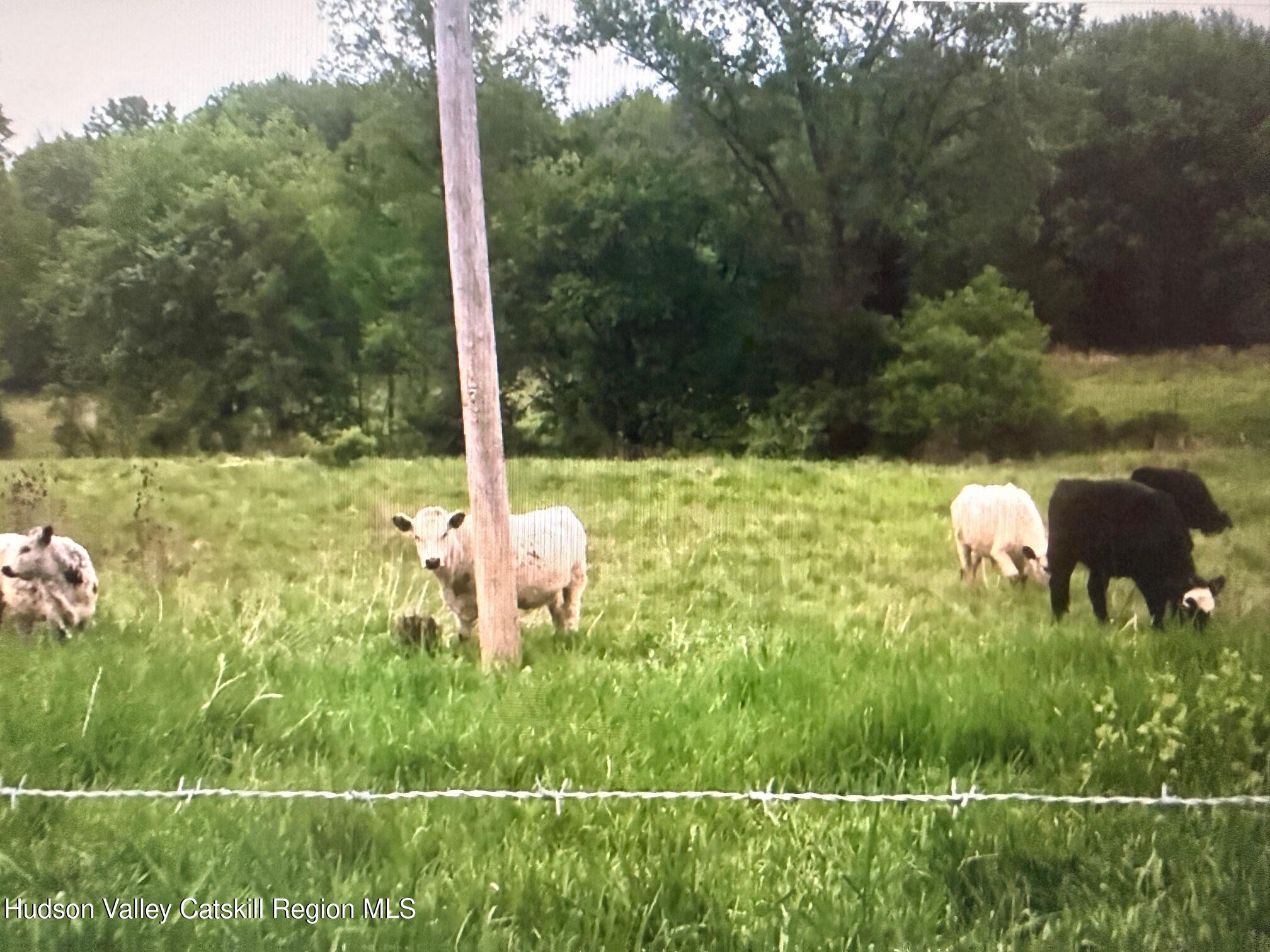 0 Spook Rock Road Hudson, NY 12534 - Photo 6 of 12 IMG_9163