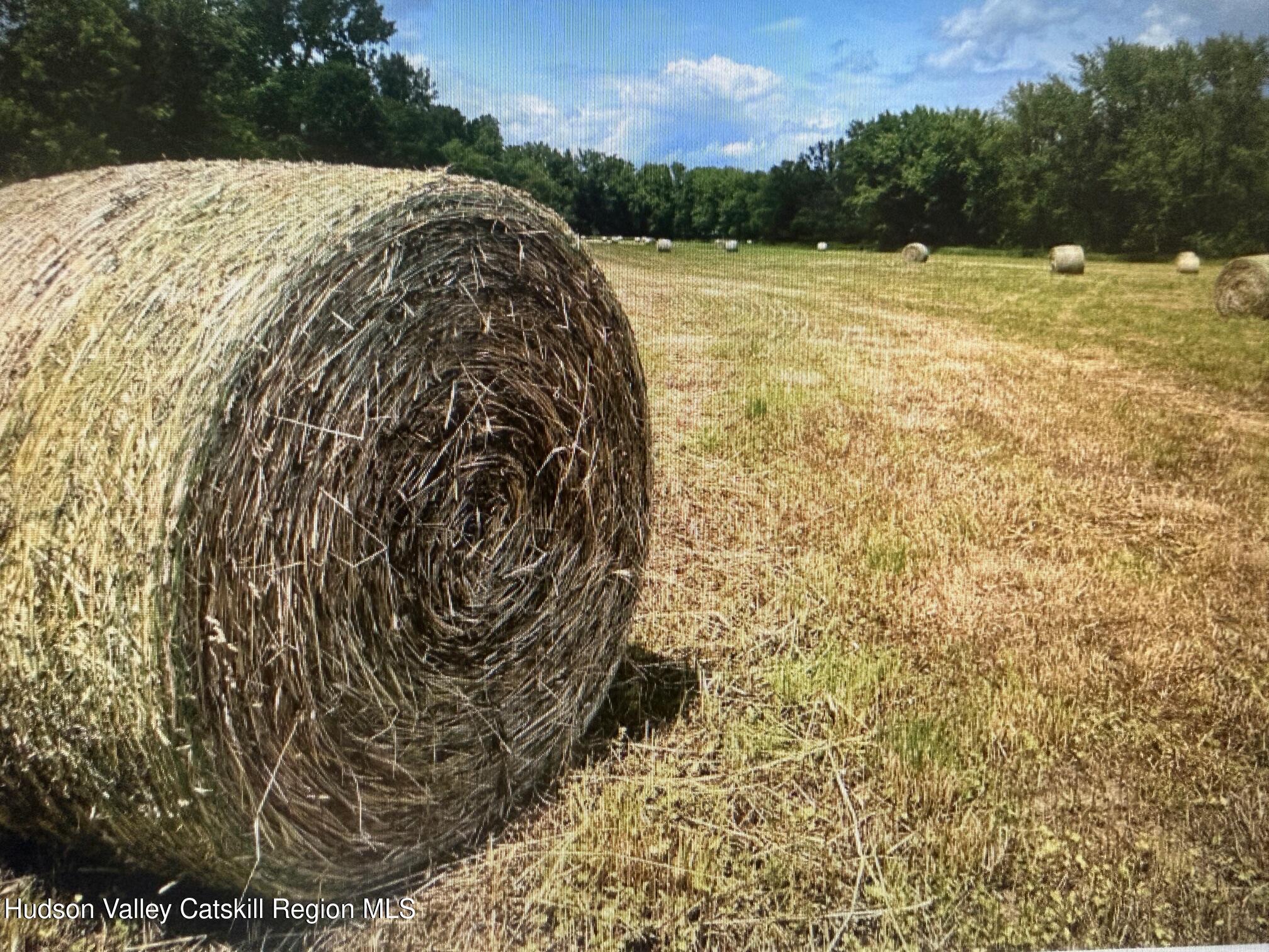 0 Spook Rock Road Hudson, NY 12534 - Photo 9 of 12 IMG_9167