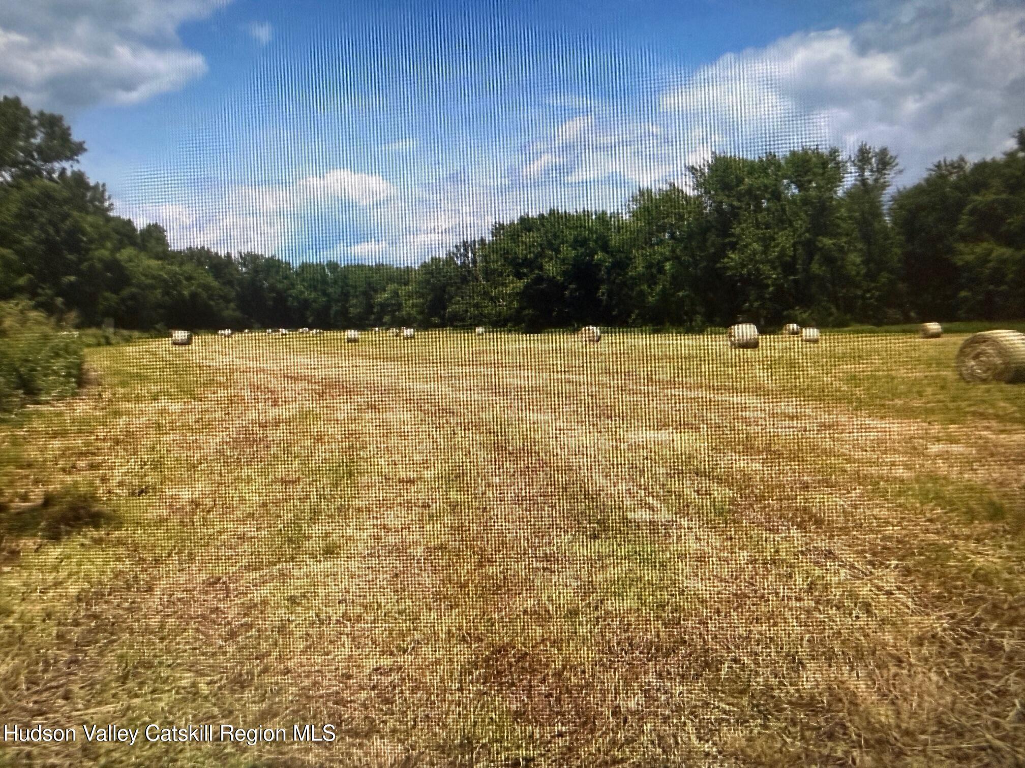 0 Spook Rock Road Hudson, NY 12534 - Photo 10 of 12 IMG_9168