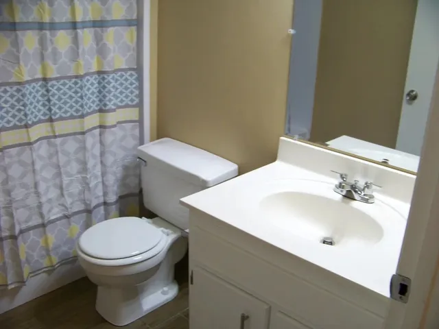 a bathroom with a toilet a sink and mirror