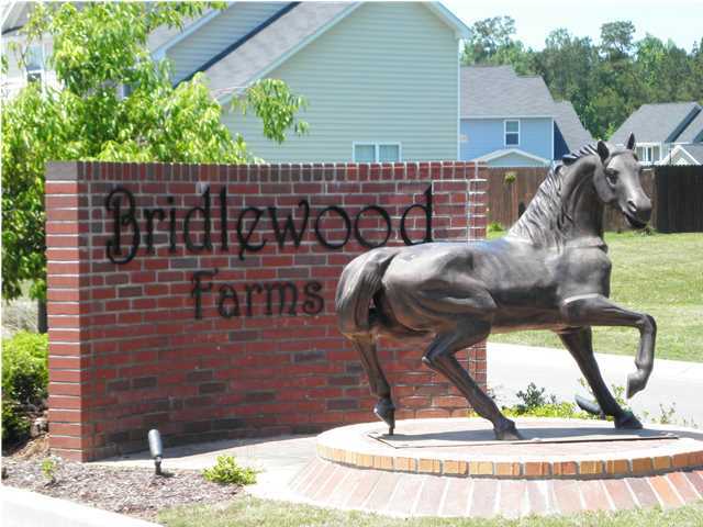2027 Triple Crown Lane Ridgeville, SC 29472 - Photo 1 of 9 Primary Photo