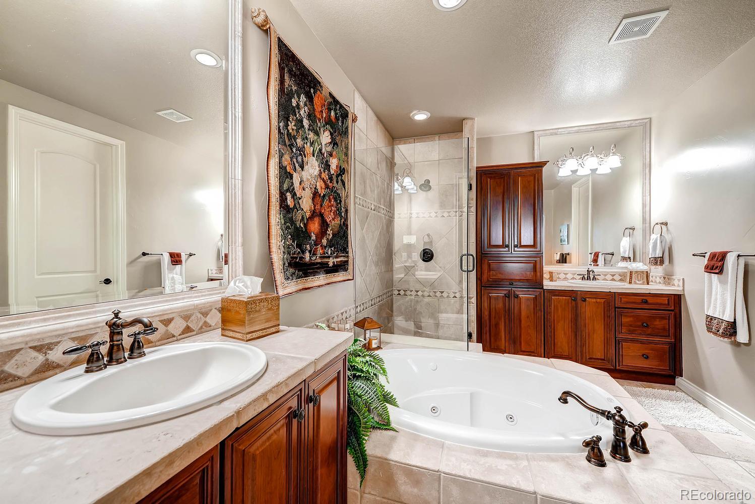 4306 Chateau Ridge Road Castle Rock, CO 80108 - Photo 13 of 28 Gallery Image 13