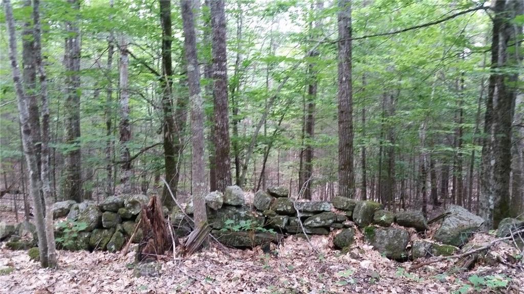 0 Garden Road, Unit LOT 7 Monroe, ME 04951 - Photo 3 of 14 Photo