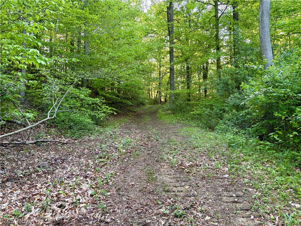 Crum Ridge Road Caldwell, OH 43724 - Photo 35 of 50