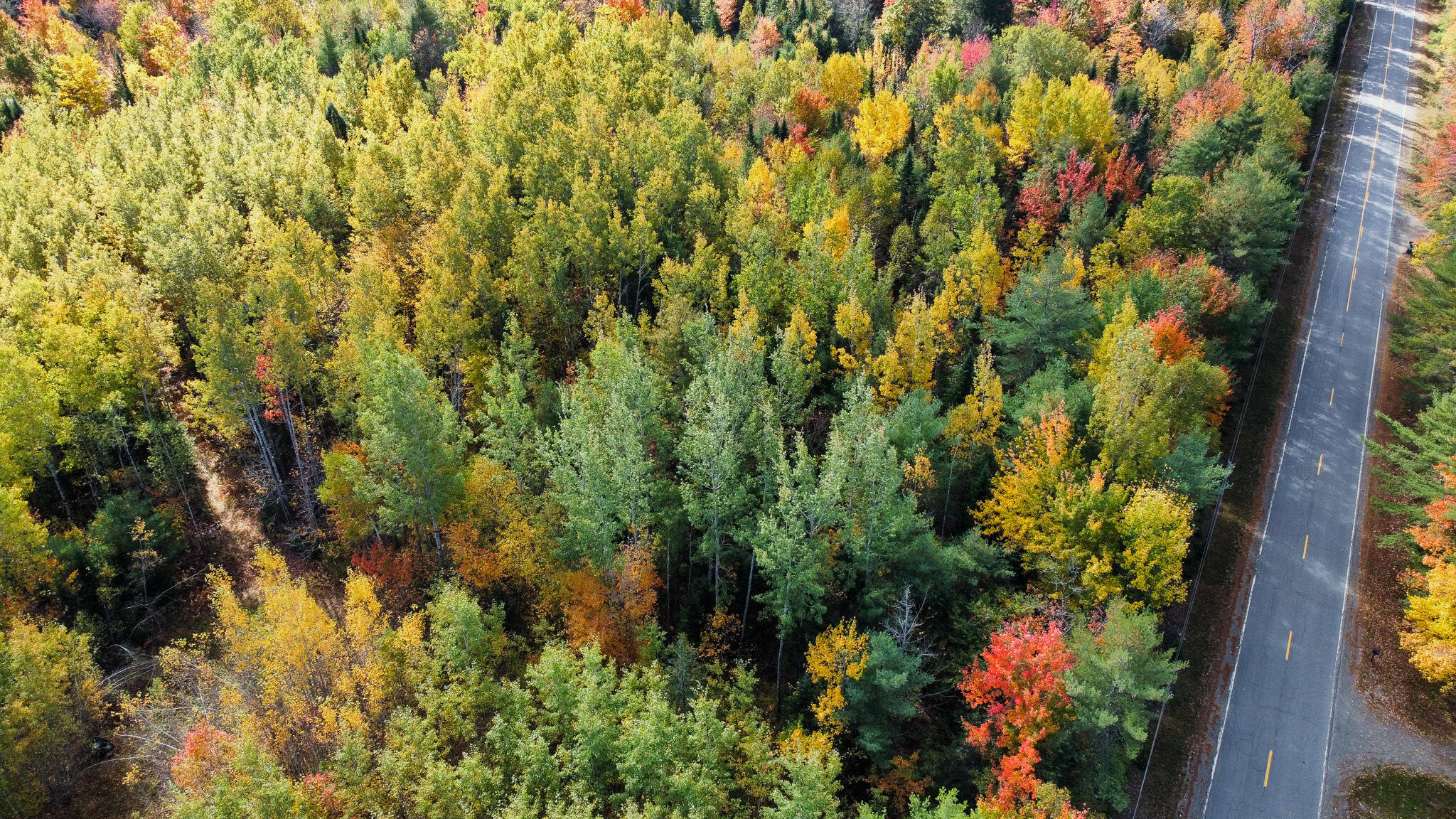 M12-l6 Storer Road Bradford, ME 04410 - Photo 7 of 31 dji_fly_20251001_101702_887_175932822914