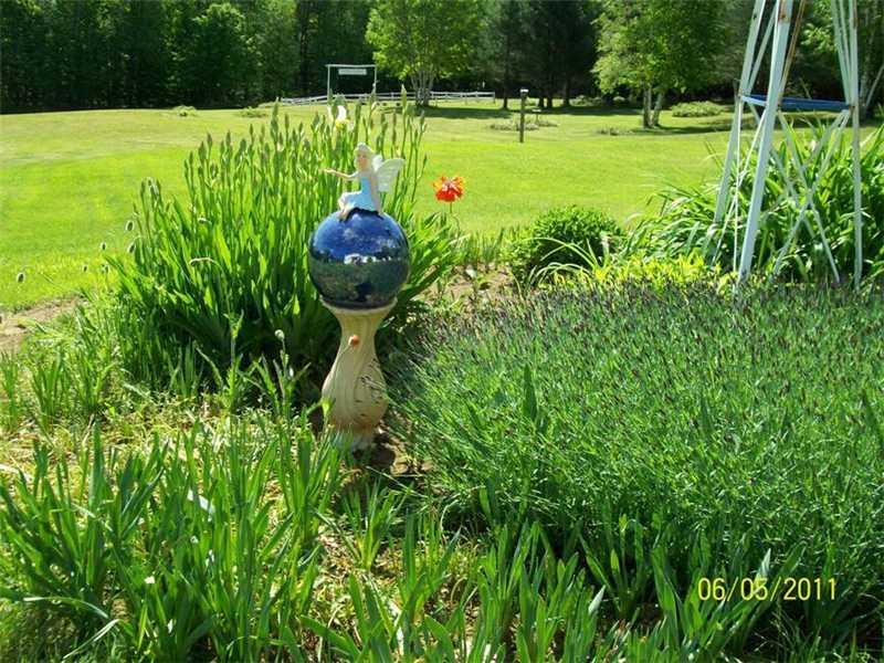 156 Freeman Ridge Road Kingfield, ME 04947 - Photo 15 of 17 Yard/Garden.