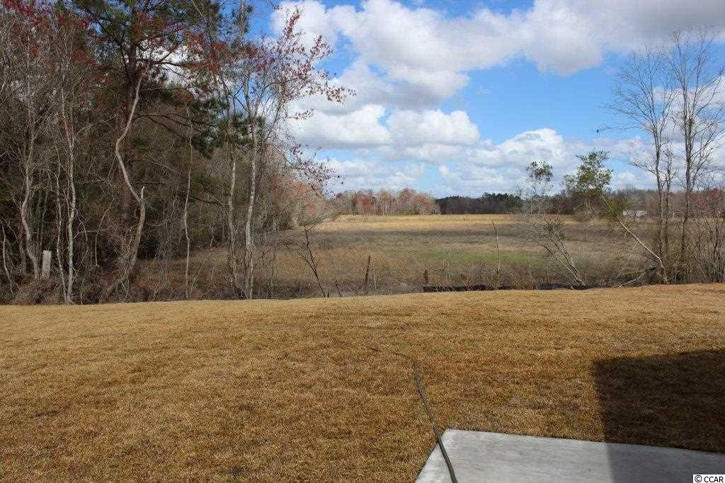 565 Irees Way Longs, SC 29568 - Photo 14 of 25 Gallery Image 14