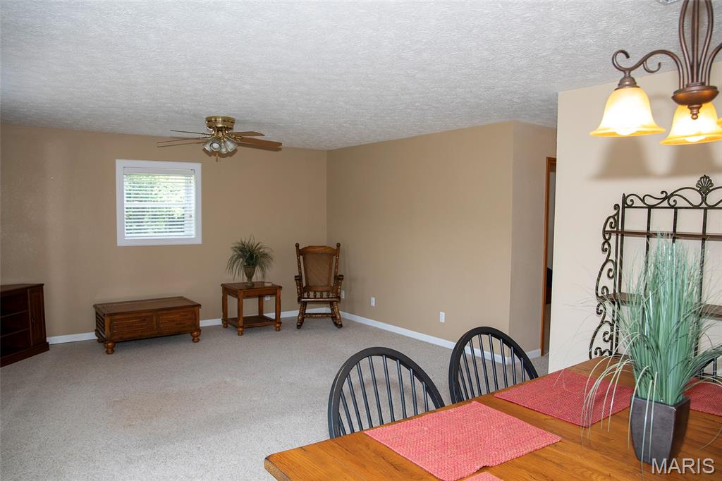 211 Henry Hicks Road Herod, IL 62947 - Photo 8 of 36